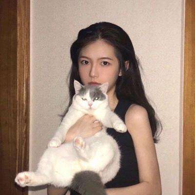 大梦英雄破解版下载